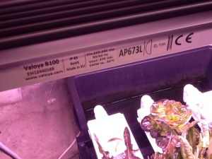 LED Light for hydroponics
