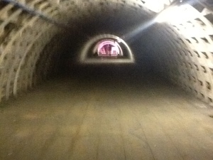 Hydroponics in Tunnels